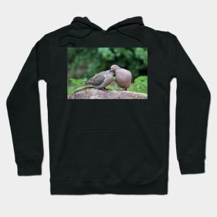 Two Turtle Doves Hoodie